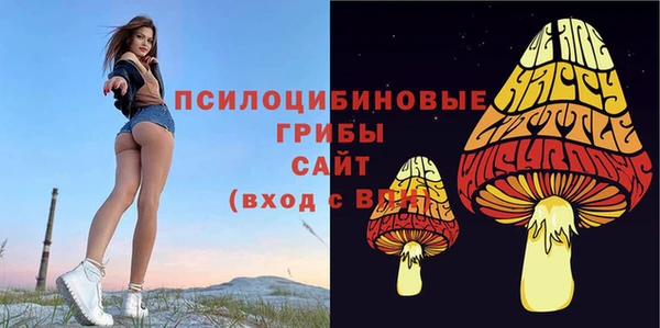 ALPHA-PVP Гусь-Хрустальный