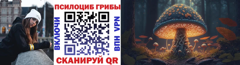 маркетплейс Telegram  Камышин  Псилоцибиновые грибы GOLDEN TEACHER 
